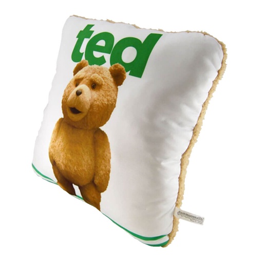 [TPWS001] Ted 14" Pillow w/ Sound